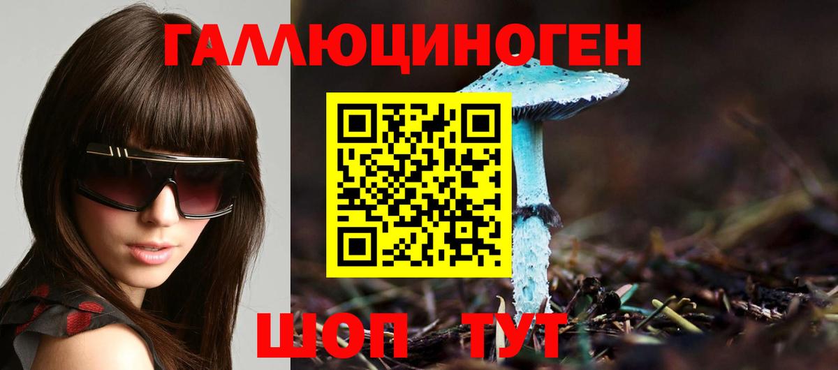 Партизанск  Псилоцибиновые грибы мицелий  Вход с VPN 